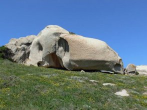 Capo Testa